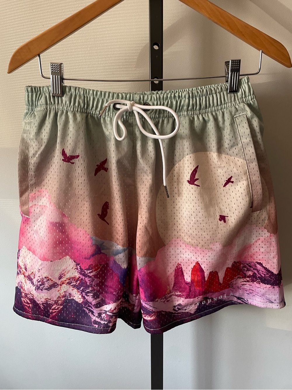 YoungLA Men's Graphic Mesh Gym Shorts Mountain Sunset Pink Purple Medium